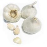 Kejora Fresh Garlic